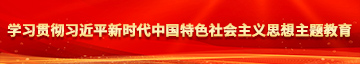 阴茎插进阳茎里面韩国人学习贯彻习近平新时代中国特色社会主义思想主题教育